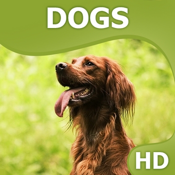 Симулятор собаки 2.2.3 [Android]