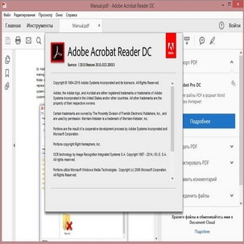 Adobe Acrobat Reader DC (скрин)