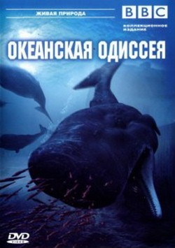 BBC: Океанская одиссея. Кашалоты / Ocean Odyssey (2006)