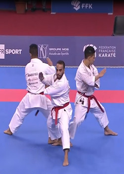 Karate Paris 2018 Final (kumite)