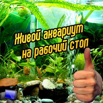 Живой аквариум на рабочий стол ПК