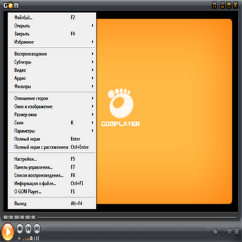 GOM Player 2.1.9 (скрин)