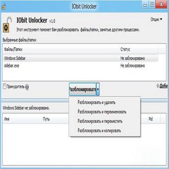 IObit Unlocker 1.1 Final (скрин)