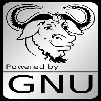 GNU Drive Copy 1.1