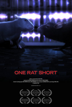 История одной крысы / One Rat Short (200... [мультфильм]