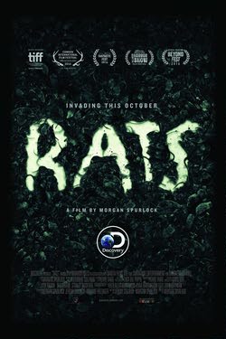 Крысы / Rats (2016)