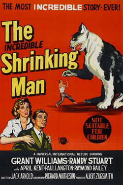 Невероятно худеющий человек / The Incredible Shrinking Man